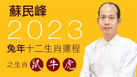 2023 方位 蘇民峰|【2023兔年運程】蘇民峰2023年兔年流年風水佈局：財位在正南。